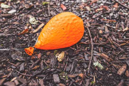 ground orange balloon deflated